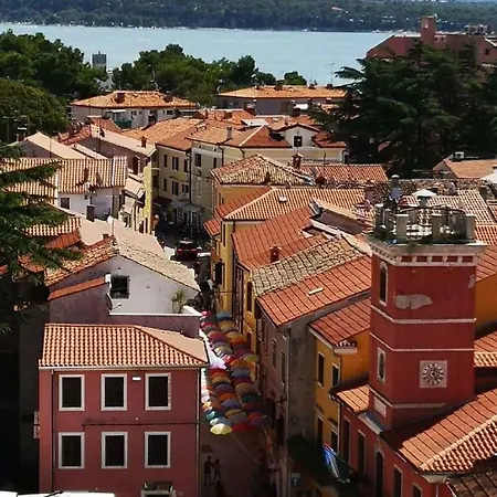 1 Apartment Bol